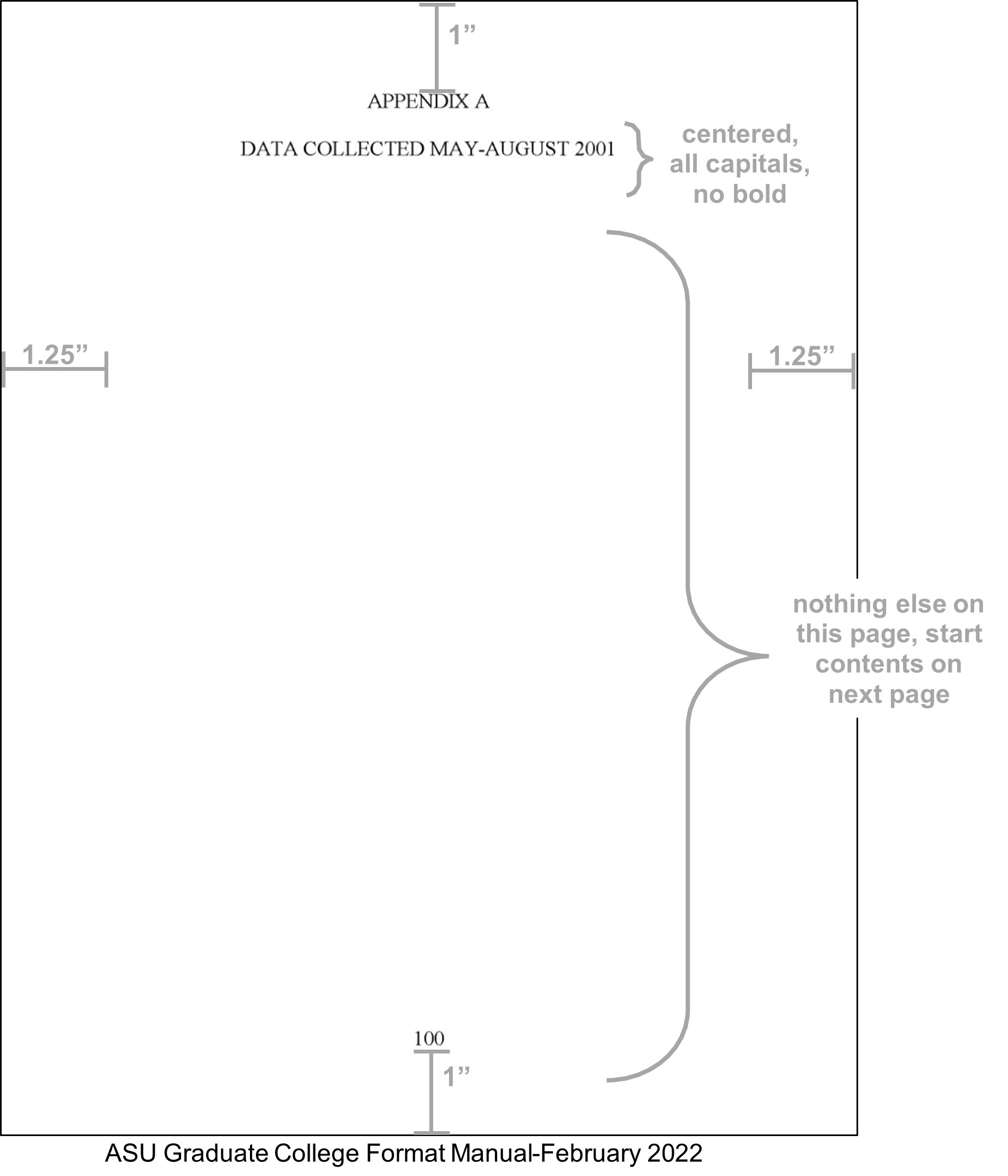 Screenshot of appendix with formatting requirements