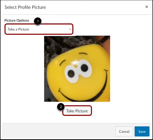 Screenshot: Canvas Profile Picture webcam tab.