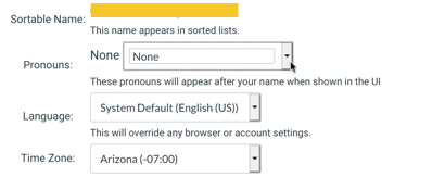 Image of pronoun drop-down menu.
