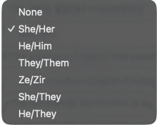 Screenshot or typed pronouns to select.