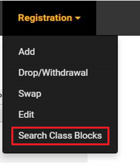 Search Class Blocks